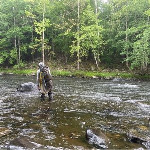 Meet your Posher, William